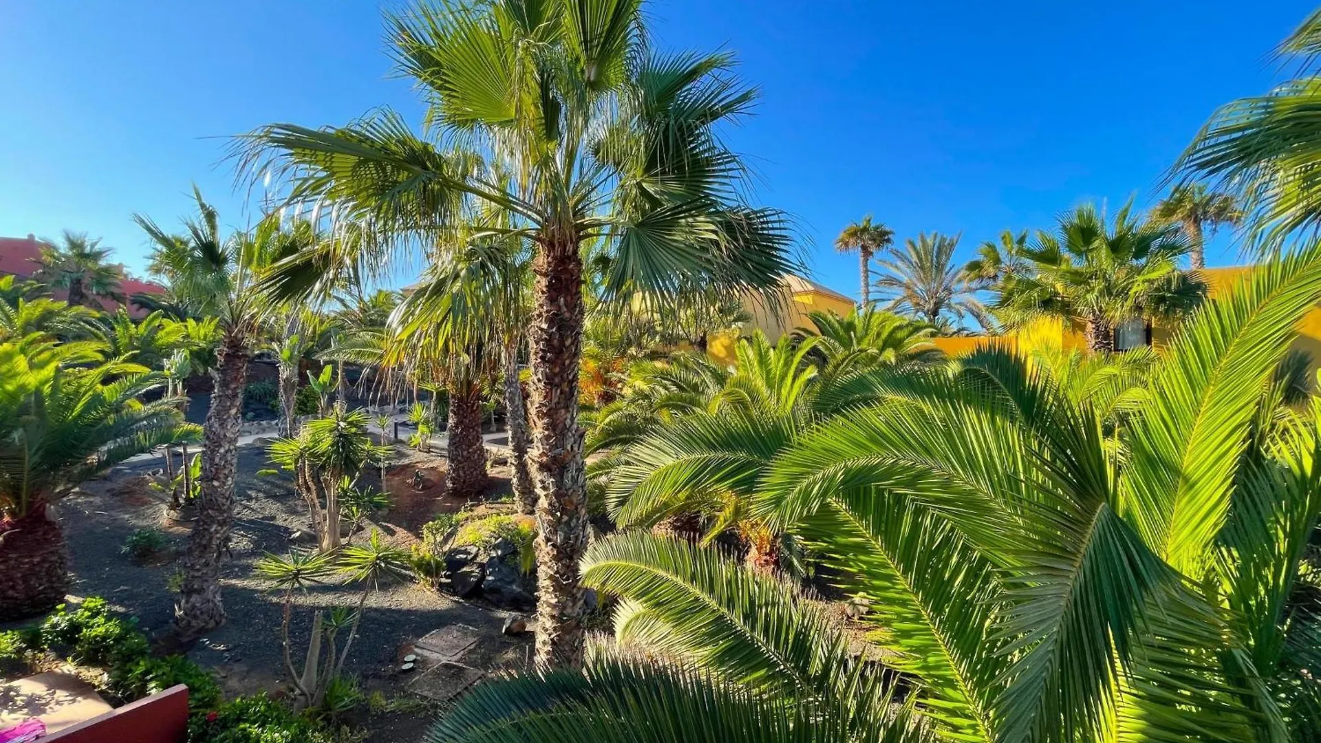Apartamento Oasis Tamarindo By Best Holidays Fuerteventura Corralejo España