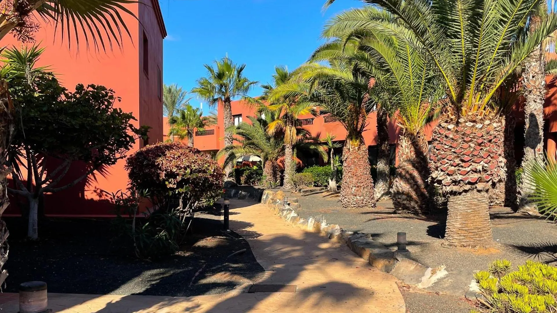 Apartamento Oasis Tamarindo By Best Holidays Fuerteventura Corralejo