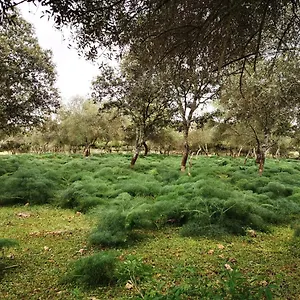 La Fuensanta , Hornachuelos España
