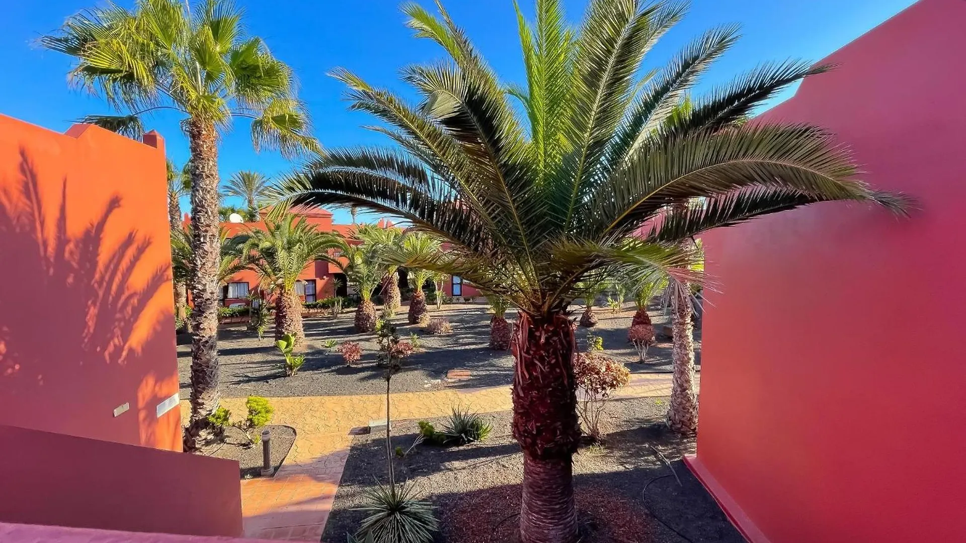 Apartment Oasis Tamarindo By Best Holidays Fuerteventura Corralejo Spain